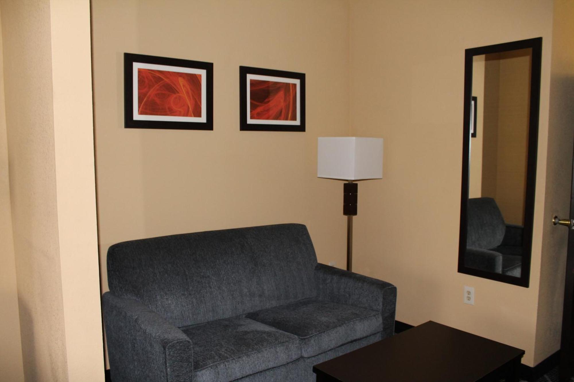 Comfort Suites Lake Ray Hubbard Rowlett Room photo
